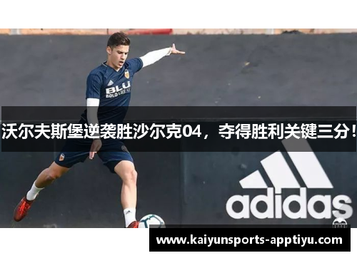 沃尔夫斯堡逆袭胜沙尔克04，夺得胜利关键三分！