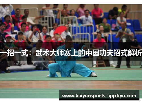 一招一式：武术大师赛上的中国功夫招式解析