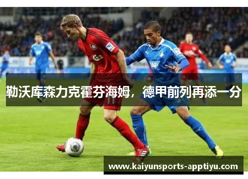勒沃库森力克霍芬海姆，德甲前列再添一分